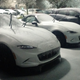 Illustration for article titled Jack Does Cars Snow Sit-Rep